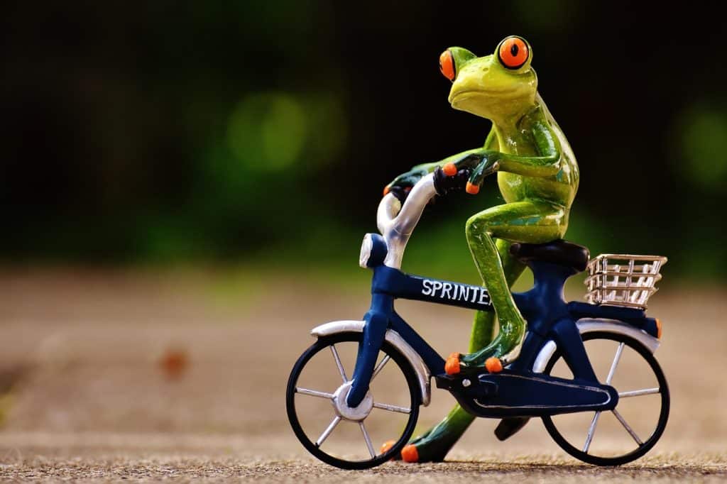 Une grenouille verte fait du vélo 