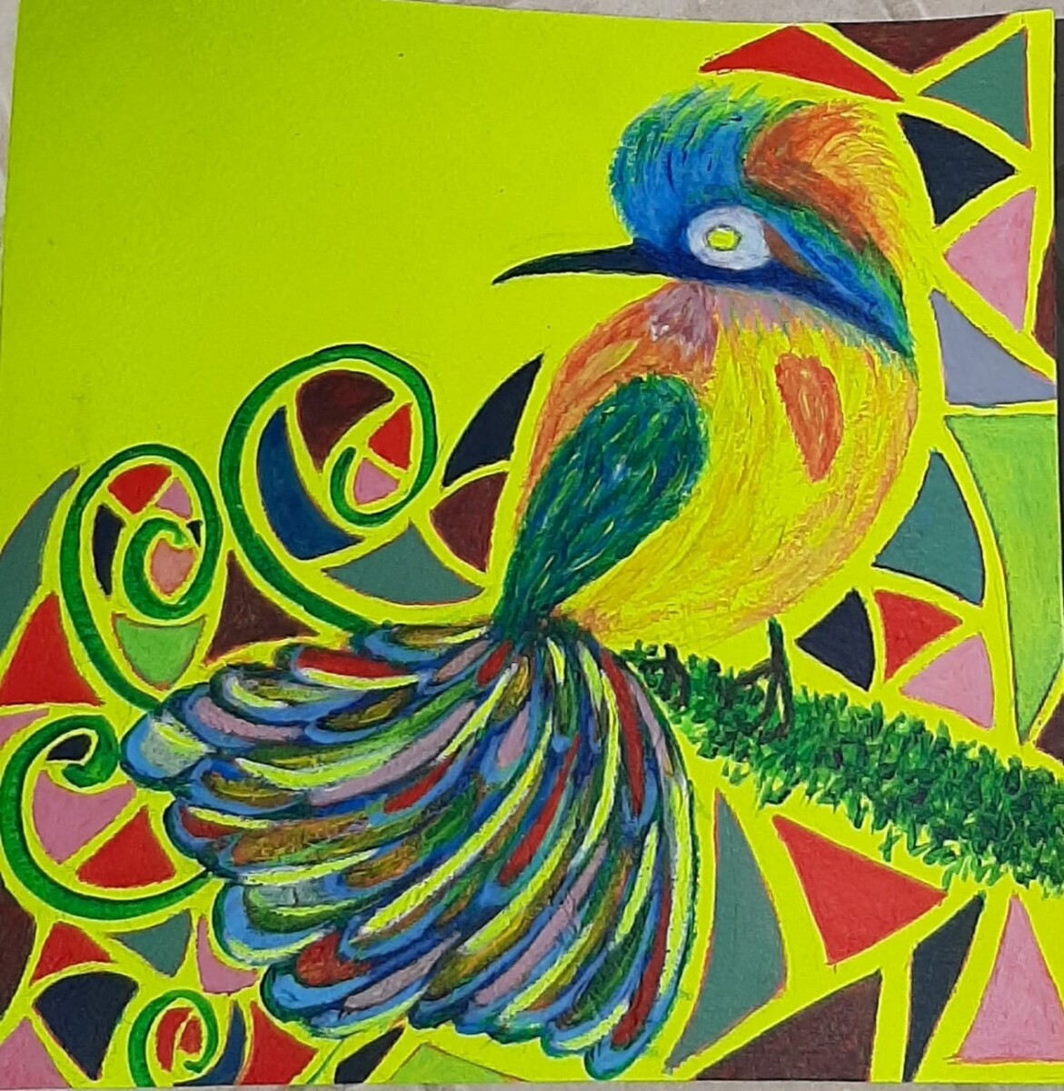 L'oiseau coloré et son écrin géométrique